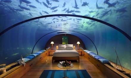 Pengalaman Menginap Di Penginapan Bawah Laut, Yuk Simak