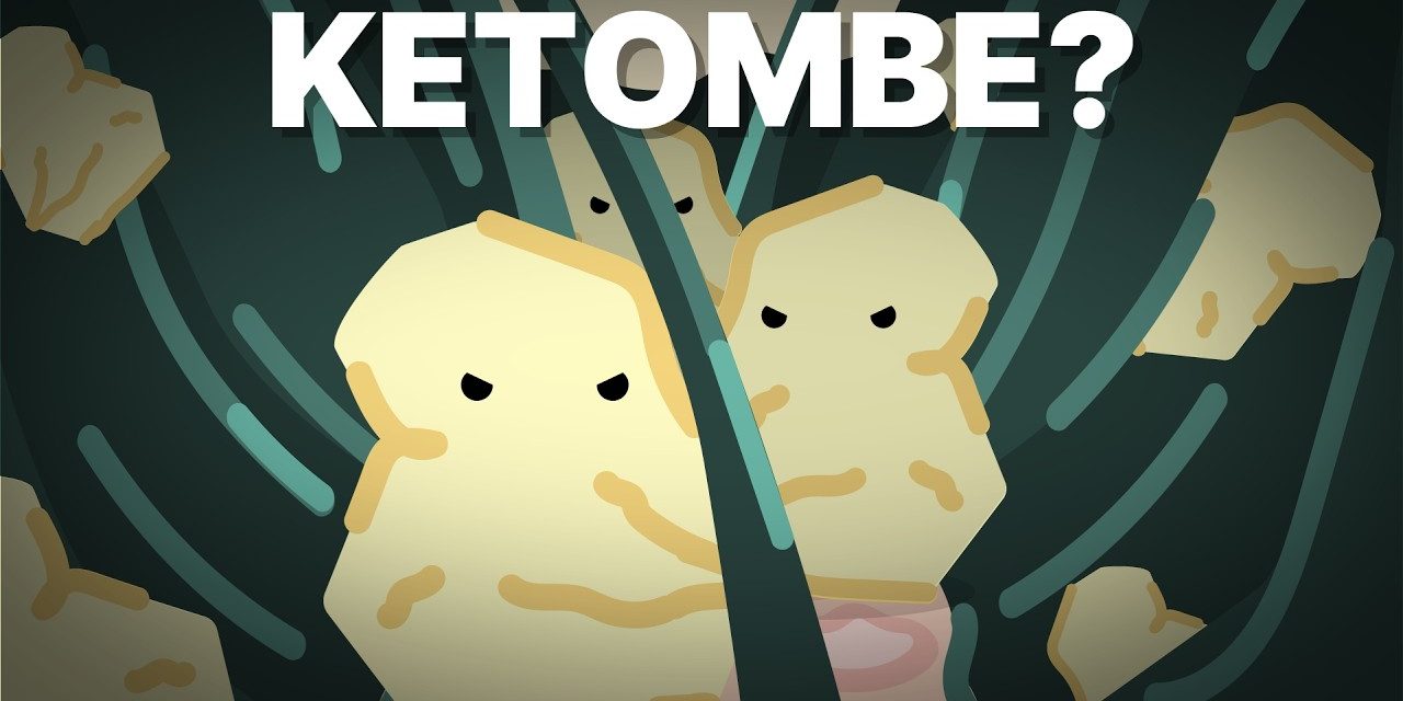 Proses Terbentuknya Ketombe Dari Kulit Mati Menumpuk Di Kepala