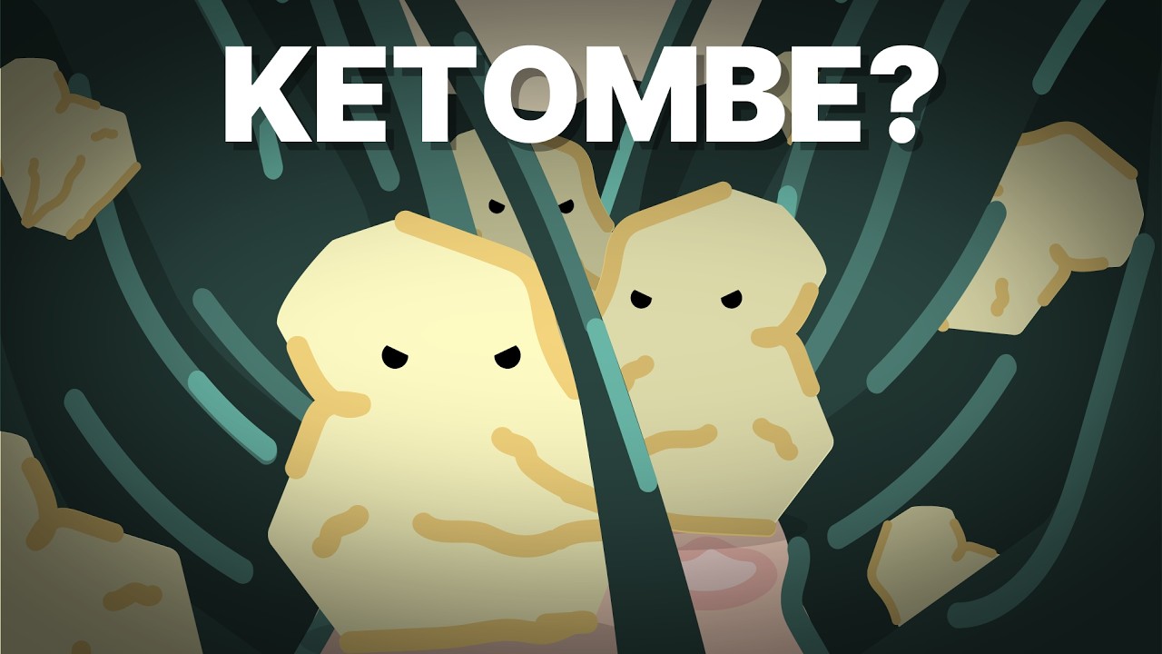 Proses Terbentuknya Ketombe