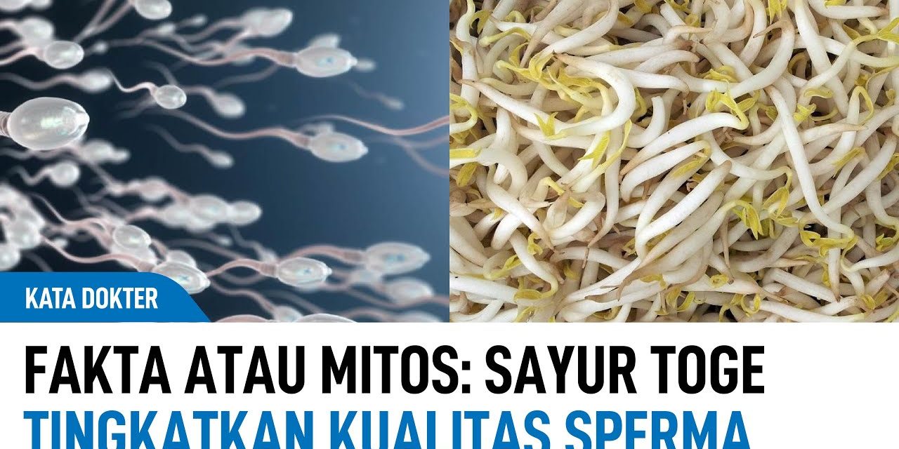 Mitos Vs Fakta Sayur Tauge Bisa Membuat Kamu Cepat Hamil?