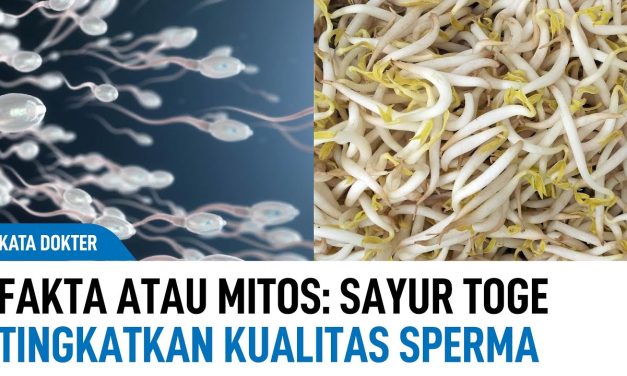 Mitos Vs Fakta Sayur Tauge Bisa Membuat Kamu Cepat Hamil?