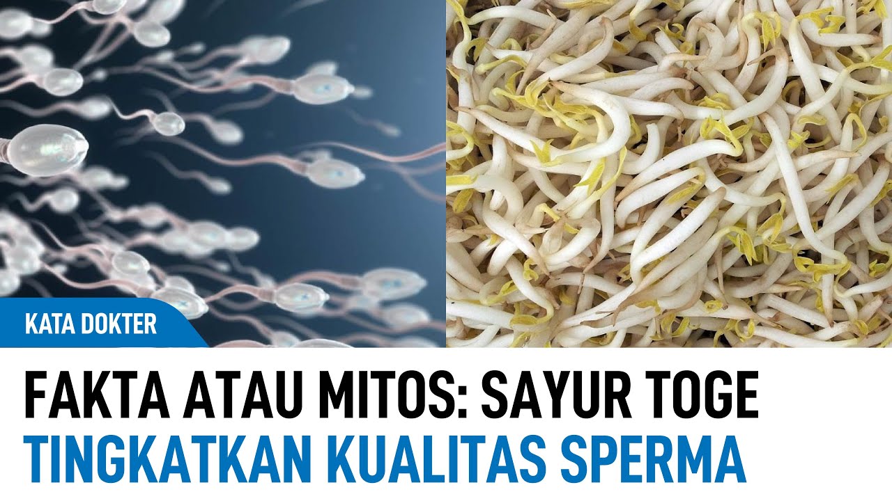Mitos Vs Fakta