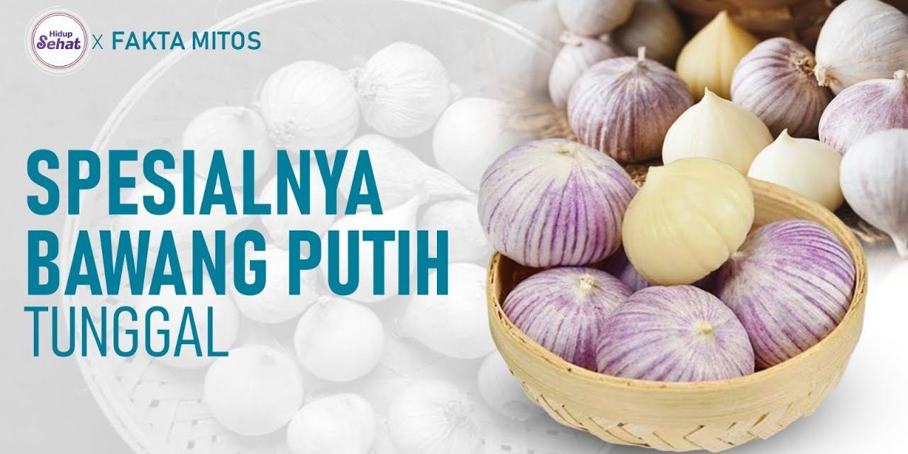 Khasiat Bawang Lanang Bisa Bikin Tubuh Anda Sehat Dan Kuat!
