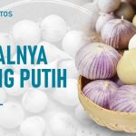 Khasiat Bawang Lanang Bisa Bikin Tubuh Anda Sehat Dan Kuat!