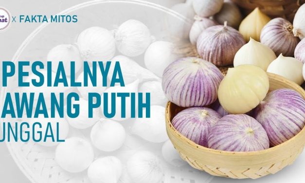 Khasiat Bawang Lanang Bisa Bikin Tubuh Anda Sehat Dan Kuat!
