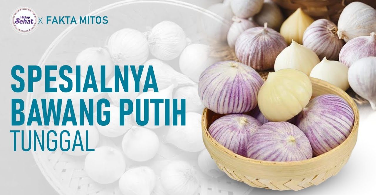 Khasiat Bawang