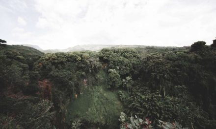 Keindahan Borneo Yang Kini Memiliki Luas Sekitar 743.330 km²
