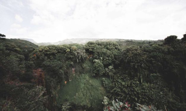 Keindahan Borneo Yang Kini Memiliki Luas Sekitar 743.330 km²