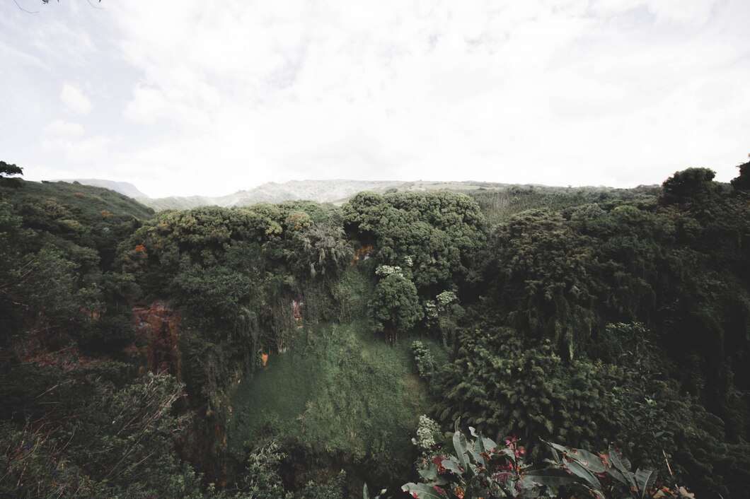 Keindahan Borneo