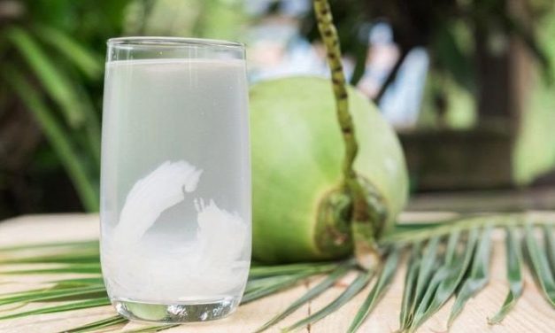 Air Kelapa Sebuah Cairan Bening Yang Kaya Akan Nutrisi