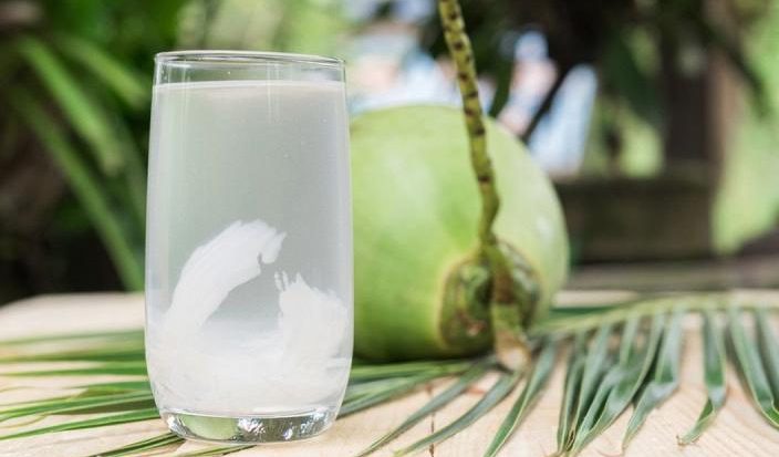 Air Kelapa Sebuah Cairan Bening Yang Kaya Akan Nutrisi